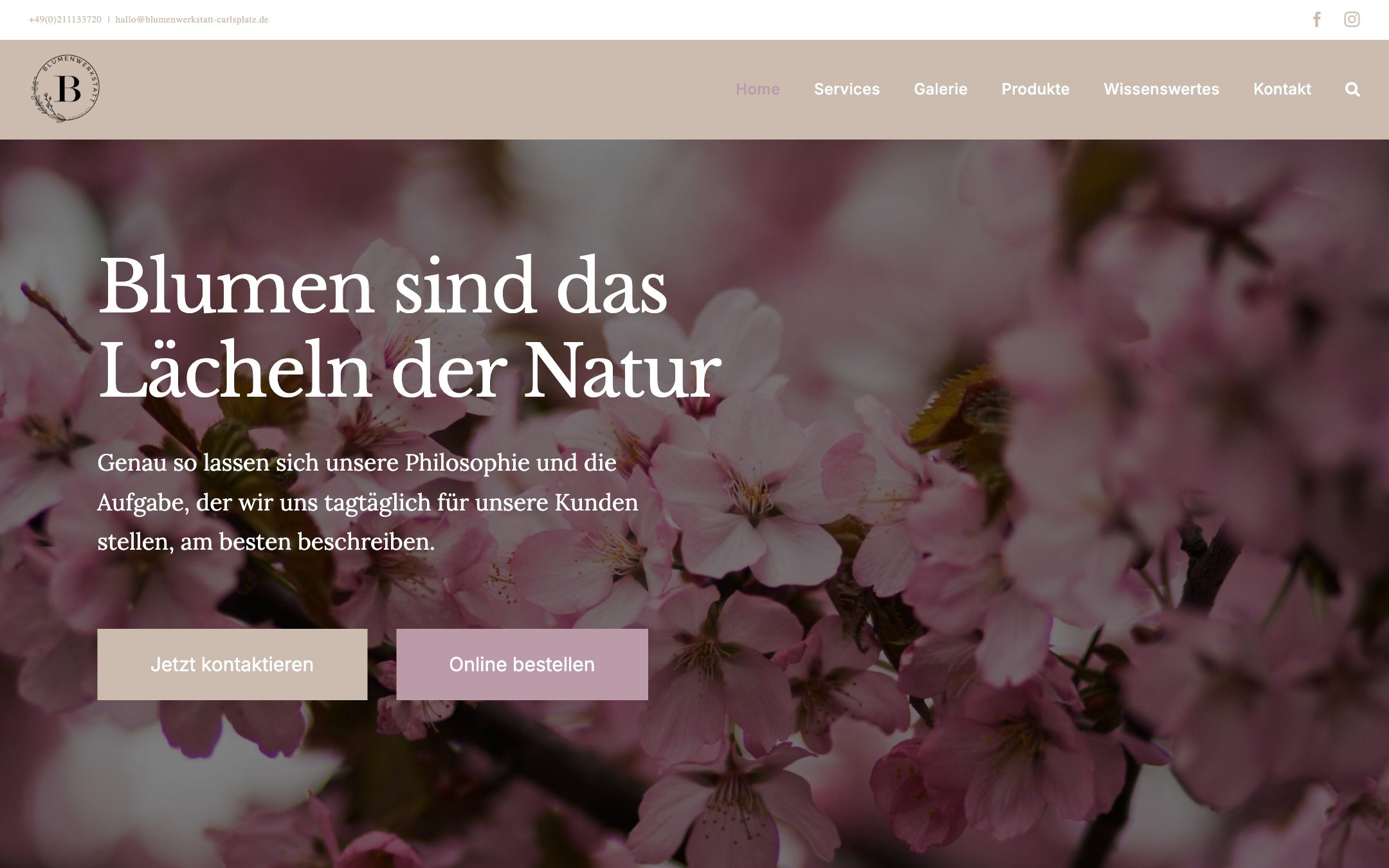 Website von Blumenwerkstatt Carlsplatz